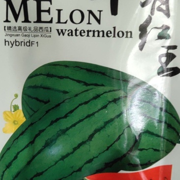 早春红玉种子