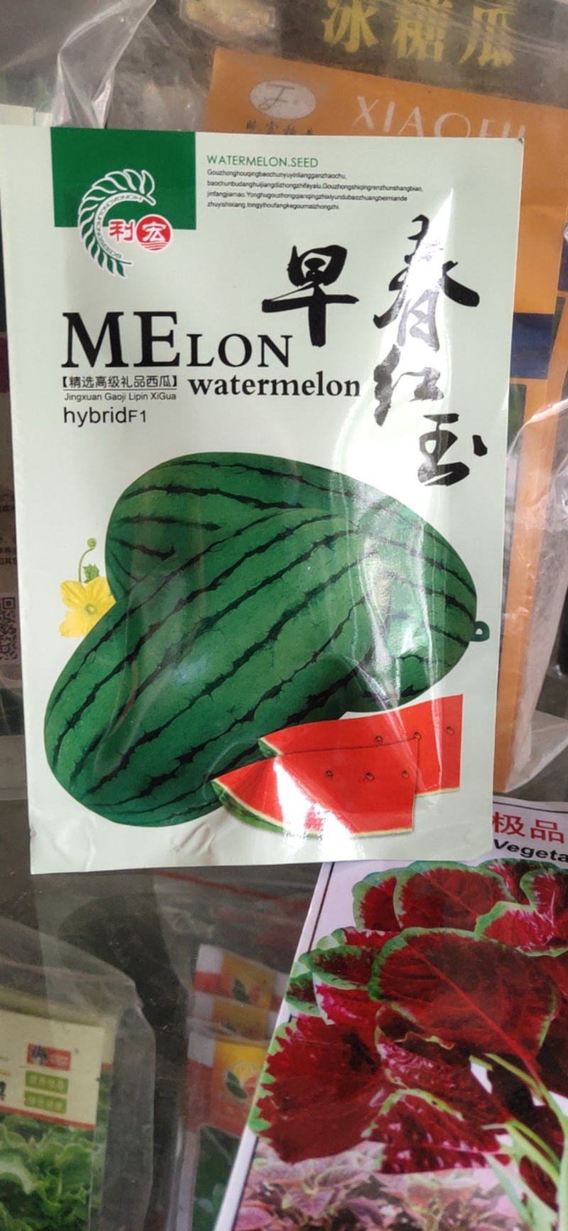 早春红玉种子