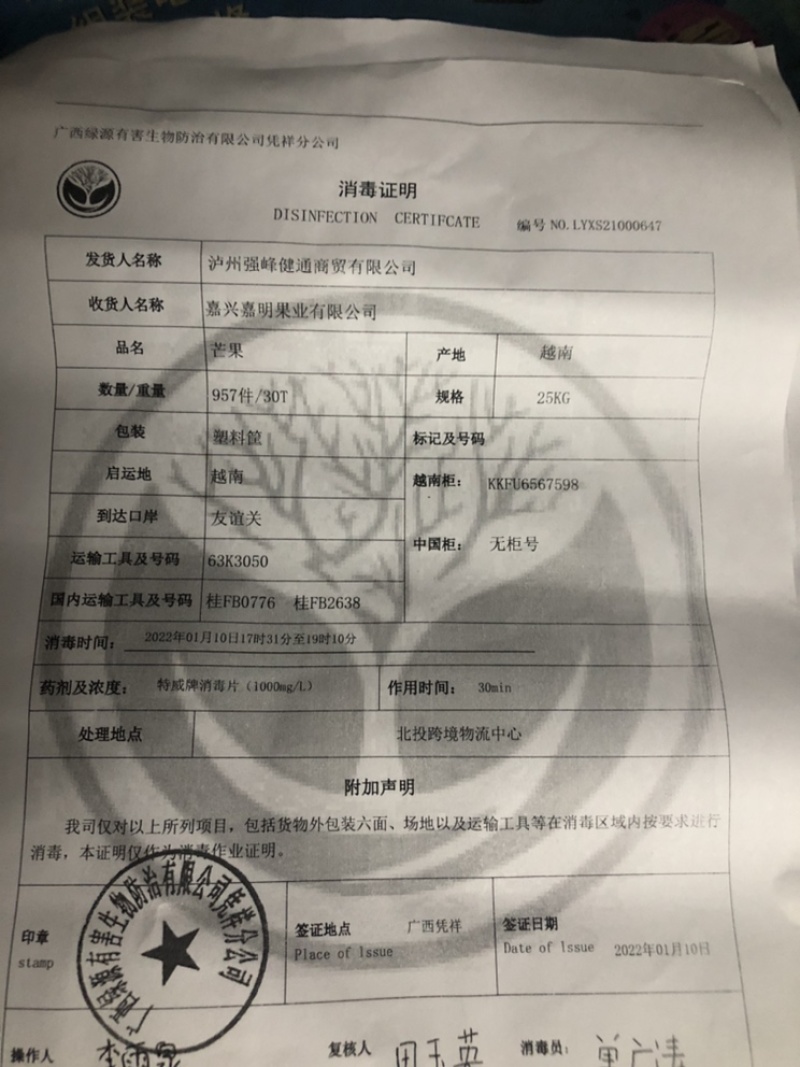 越南大青芒一级二级，长期稳定供货，物流直达全国各地