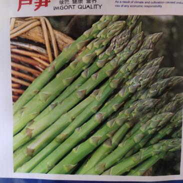 芦笋种子，绿色健康营养，