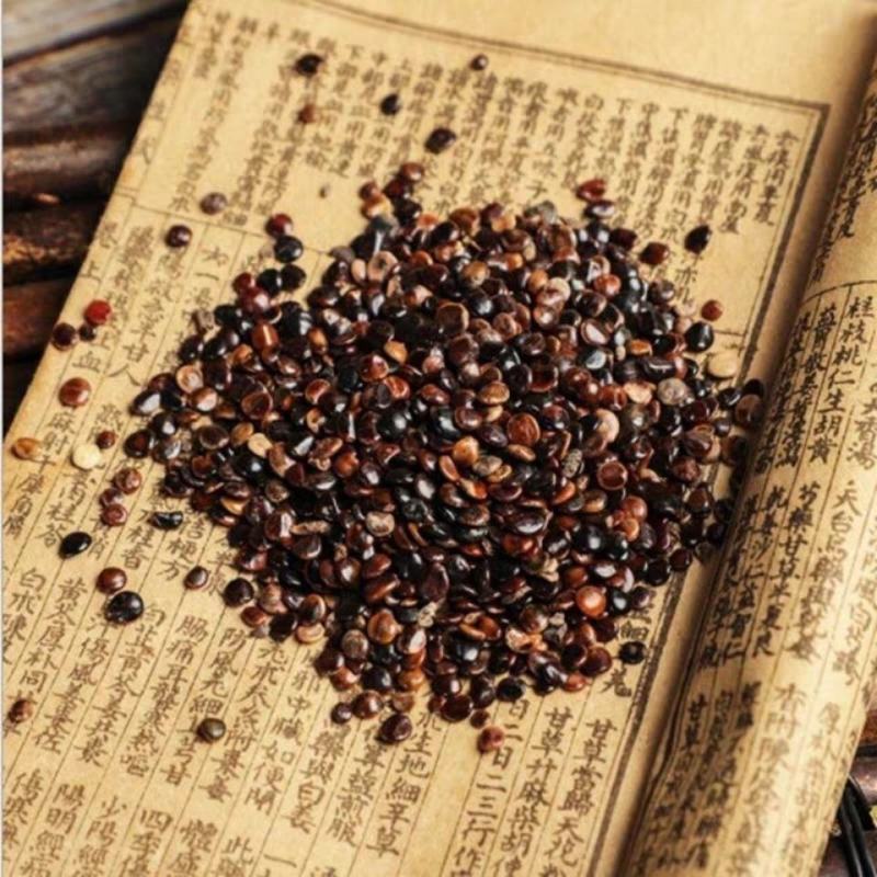 枳椇子选货，道地药材，质优价实，品质保证，药典标准，一公