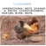 青脚麻鸡苗包防疫包运输包成活率货到满意付款一次合作终身朋