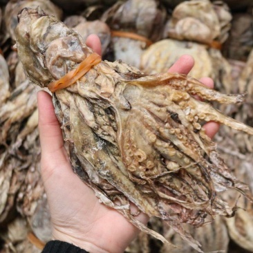 A特价扎把章鱼干这次货淡干很多可以闻到很香章鱼味不会咸干
