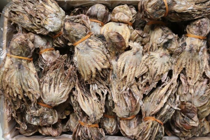 A特价扎把章鱼干这次货淡干很多可以闻到很香章鱼味不会咸干