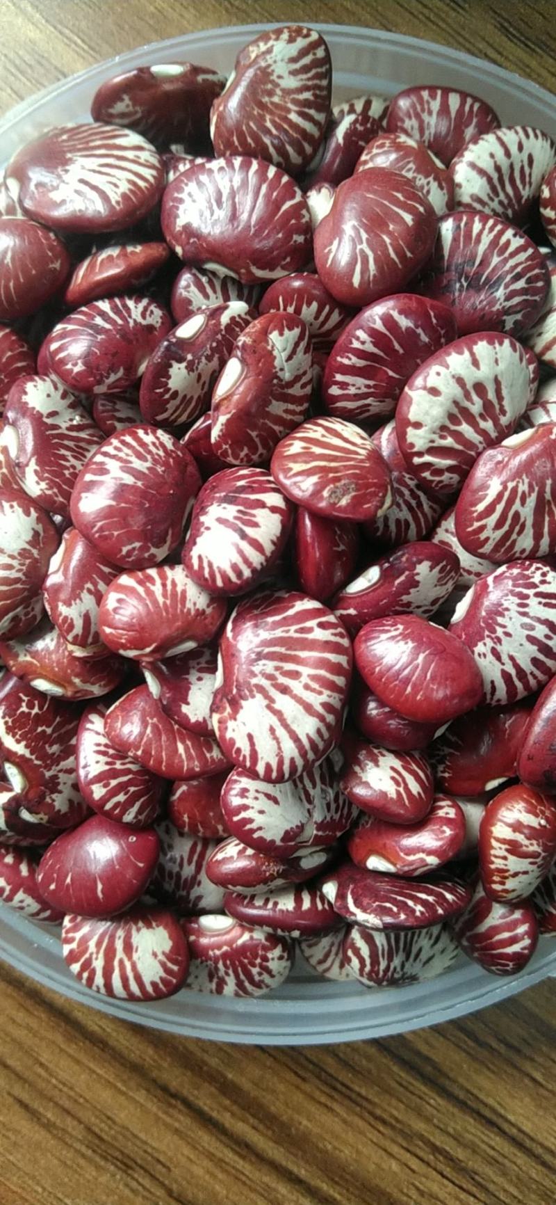 【推荐】斑马豆，花腰豆，红花豆2024新斑马豆货源充足量