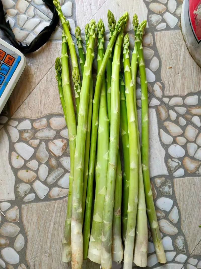 蔬菜
