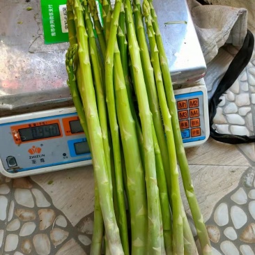 蔬菜