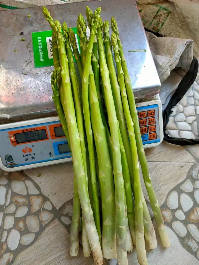 蔬菜