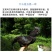 五黑一绿鸡苗包防疫包运输包成活率货到满意付款一次合作终生