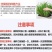 现挖紫红新韭菜根宽叶韭菜苗室内阳台四季盆栽大叶韭菜根庭院