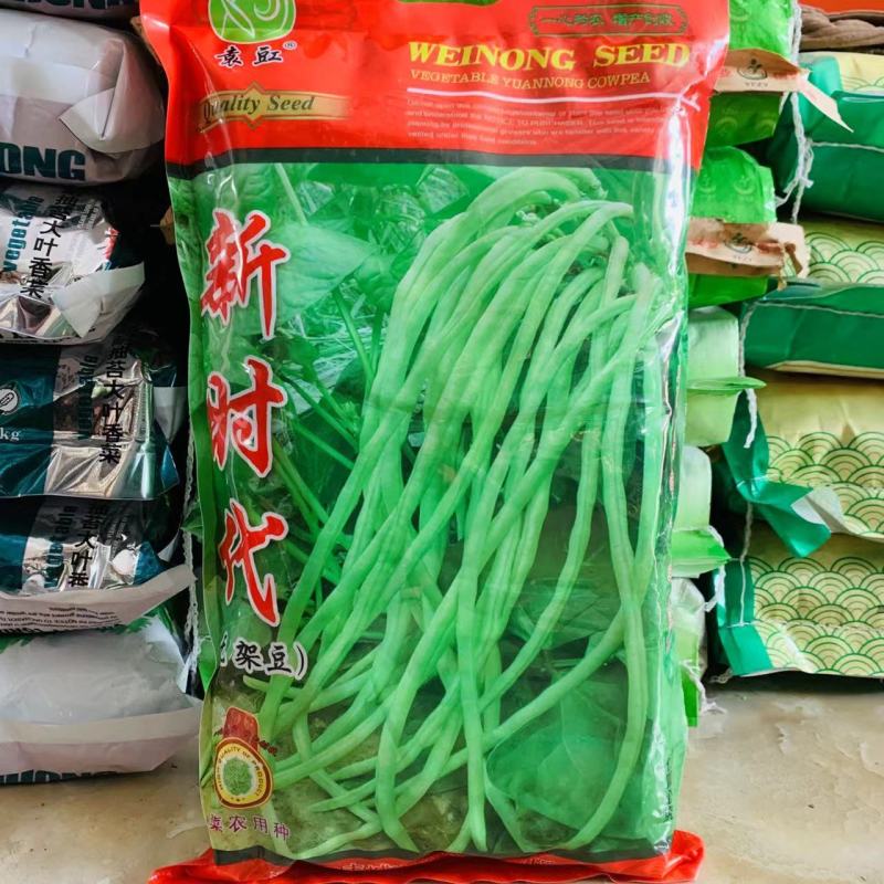 新时代无架豇豆种子早熟高产春夏秋无架豆角种子淡绿白色