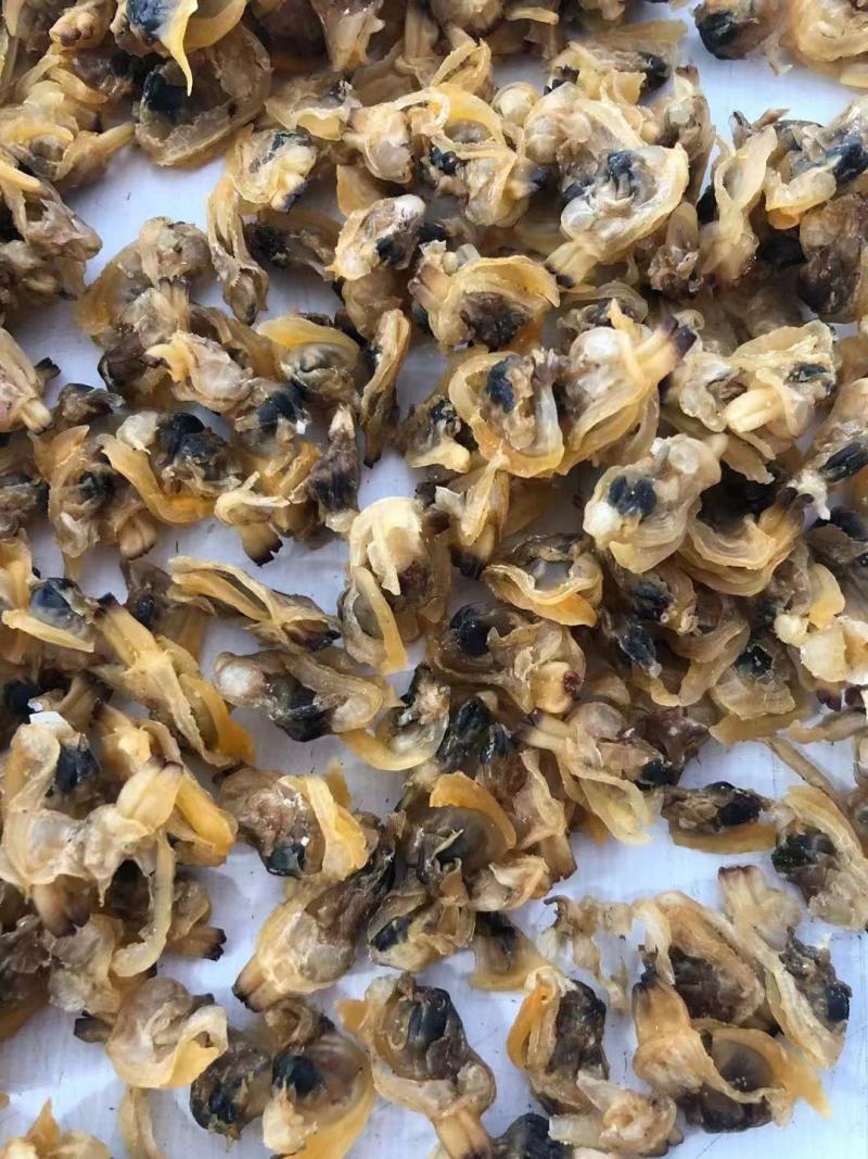 【一件代发】青岛特产无沙纯淡蛤蜊肉质优价廉对接商超包邮