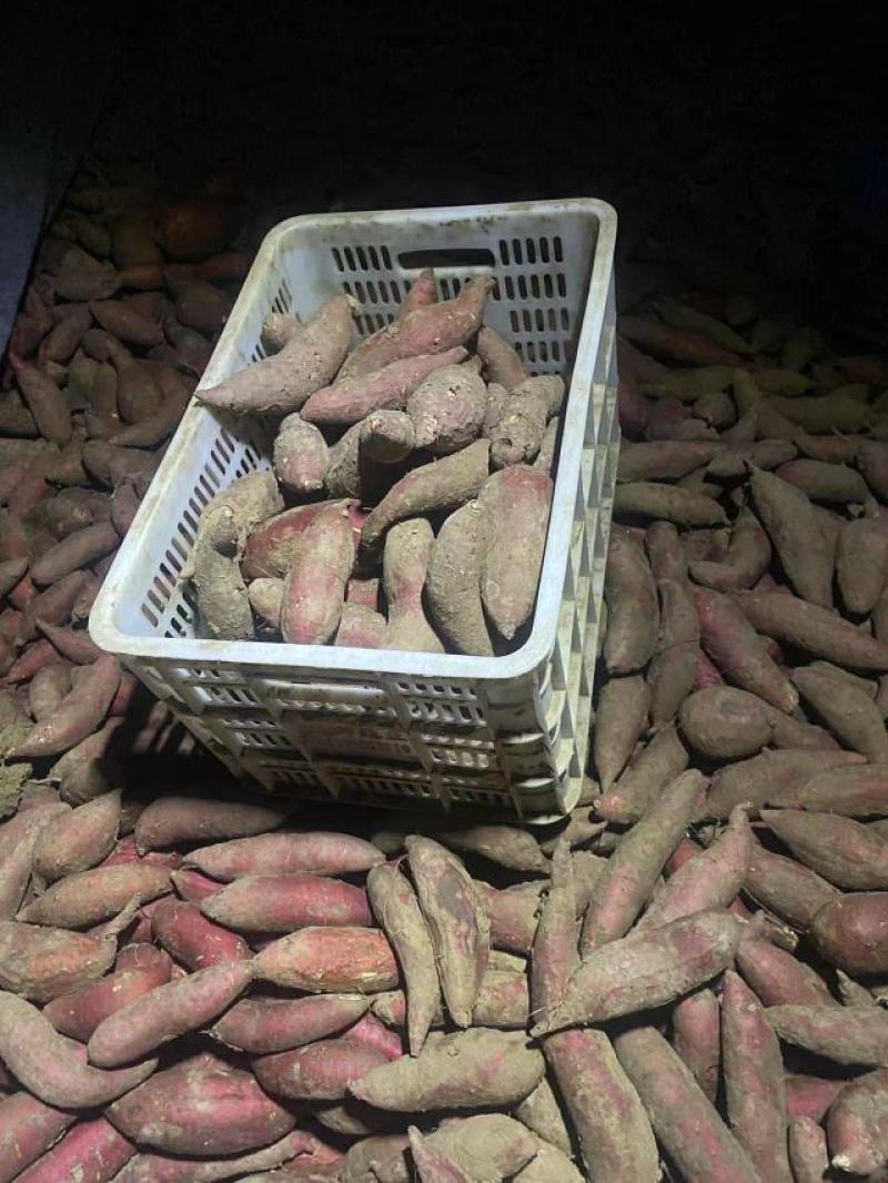 西瓜红