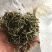 轮叶黑藻芽孢灯笼草节节草轮叶黑草种子包邮