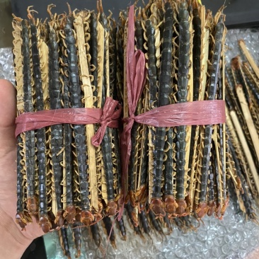 蜈蚣