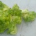 基地直供，量大从优，物美价廉，