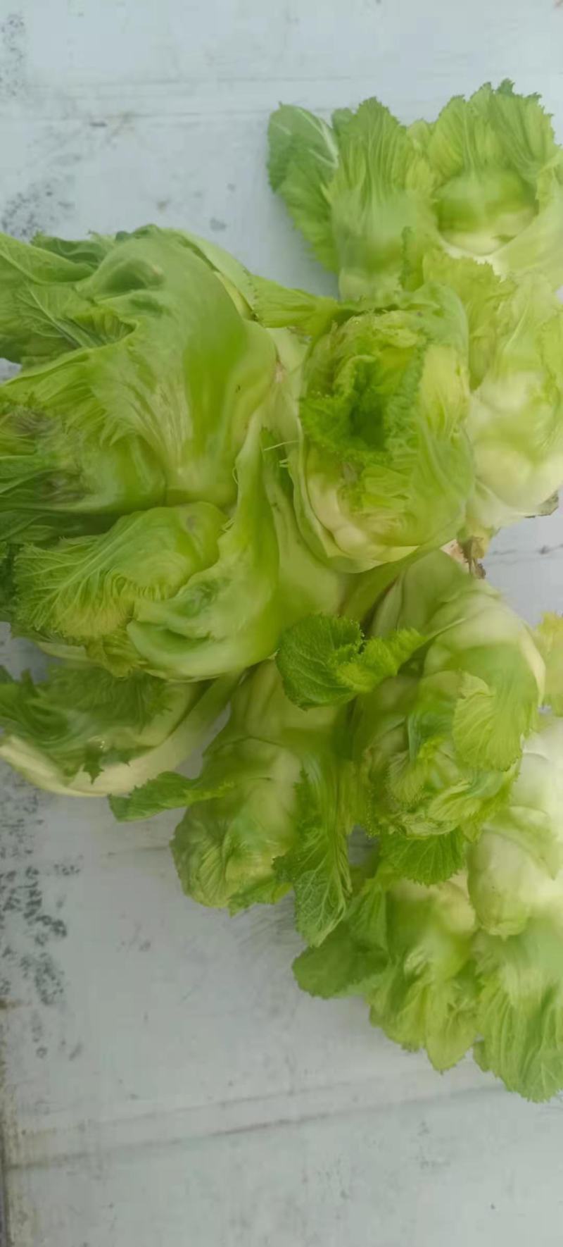 基地直供，量大从优，物美价廉，