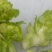 基地直供，量大从优，物美价廉，