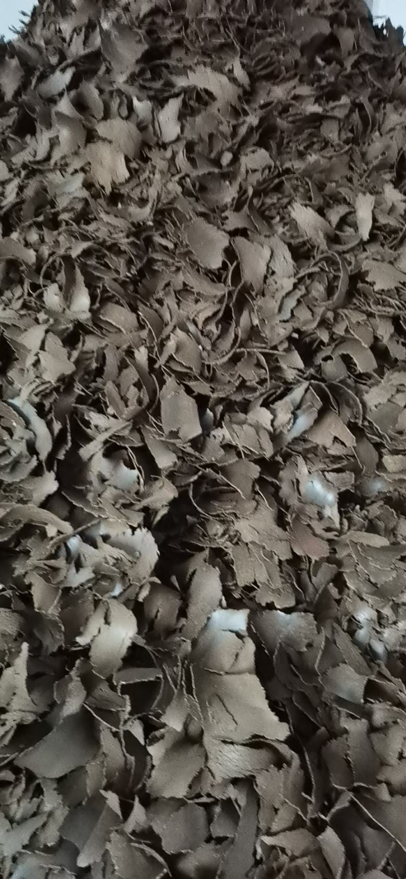 大量批发及销售菜籽饼，货源充足，视频看货，欢迎客户选购