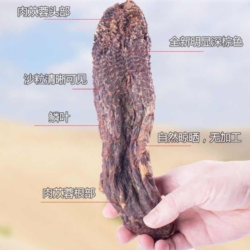 肉苁蓉肉苁蓉硬个产地新疆道地药材，质优价实，品质保