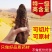 肉苁蓉肉苁蓉硬个产地新疆道地药材，质优价实，品质保