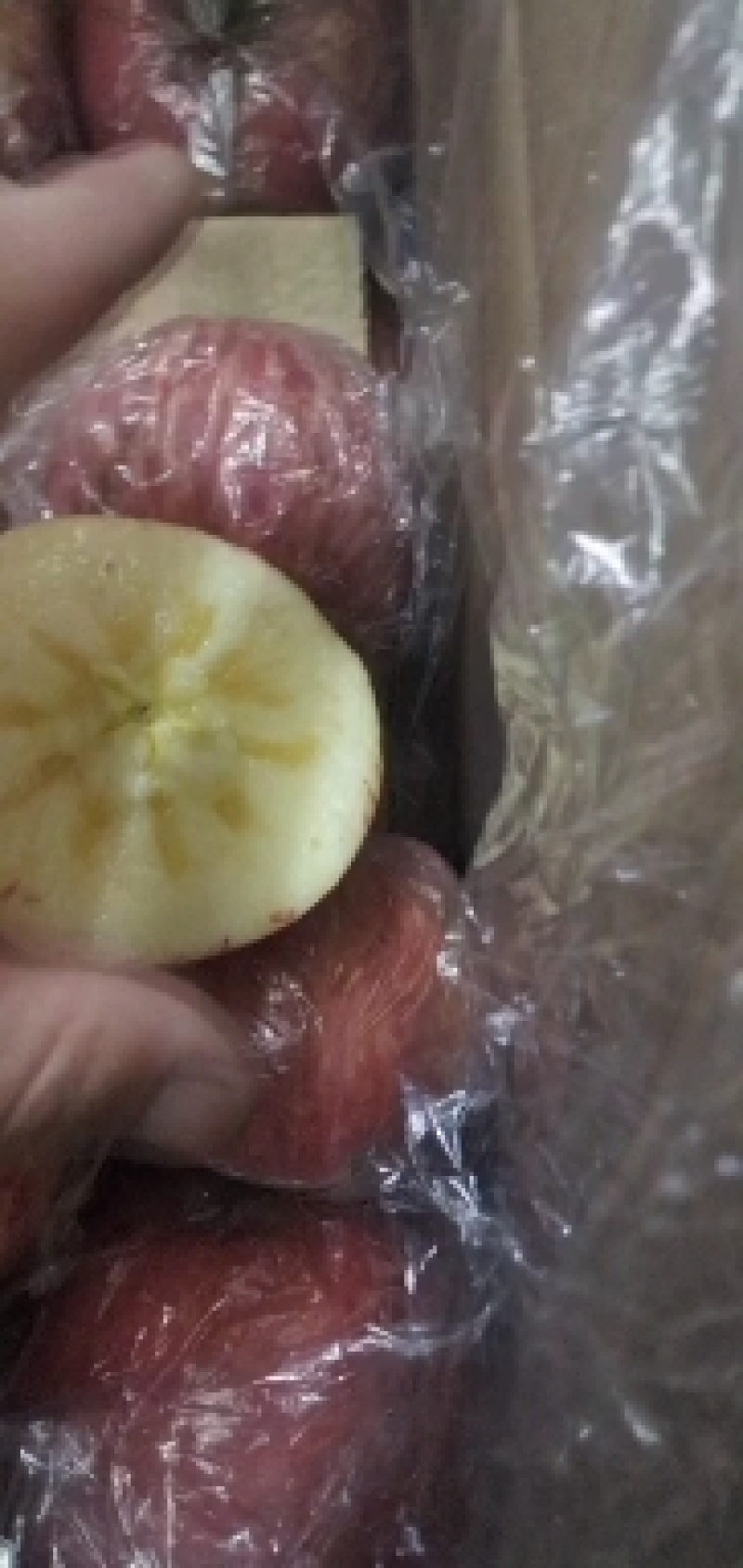 纸袋冰糖心红富士苹果大量现货出库中，口感脆甜多汁