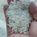 稻花香稻子