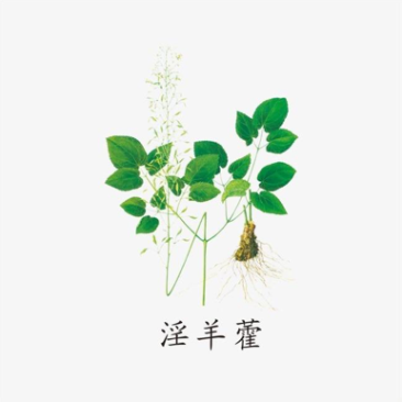 贵州野生中草药