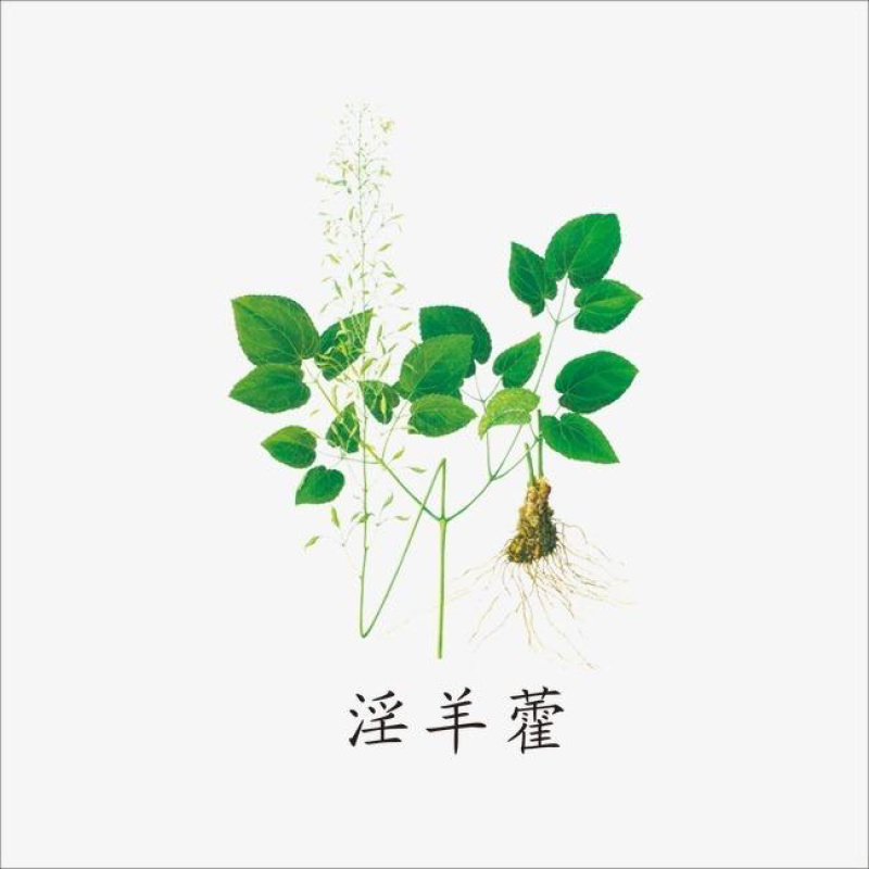 贵州野生中草药