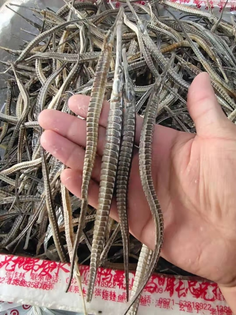 海龙小海龙海龙干货500克包邮一手货源