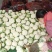 【陕西汉中菜花】乳白紧花产地直供2一4斤全国代发视频看货