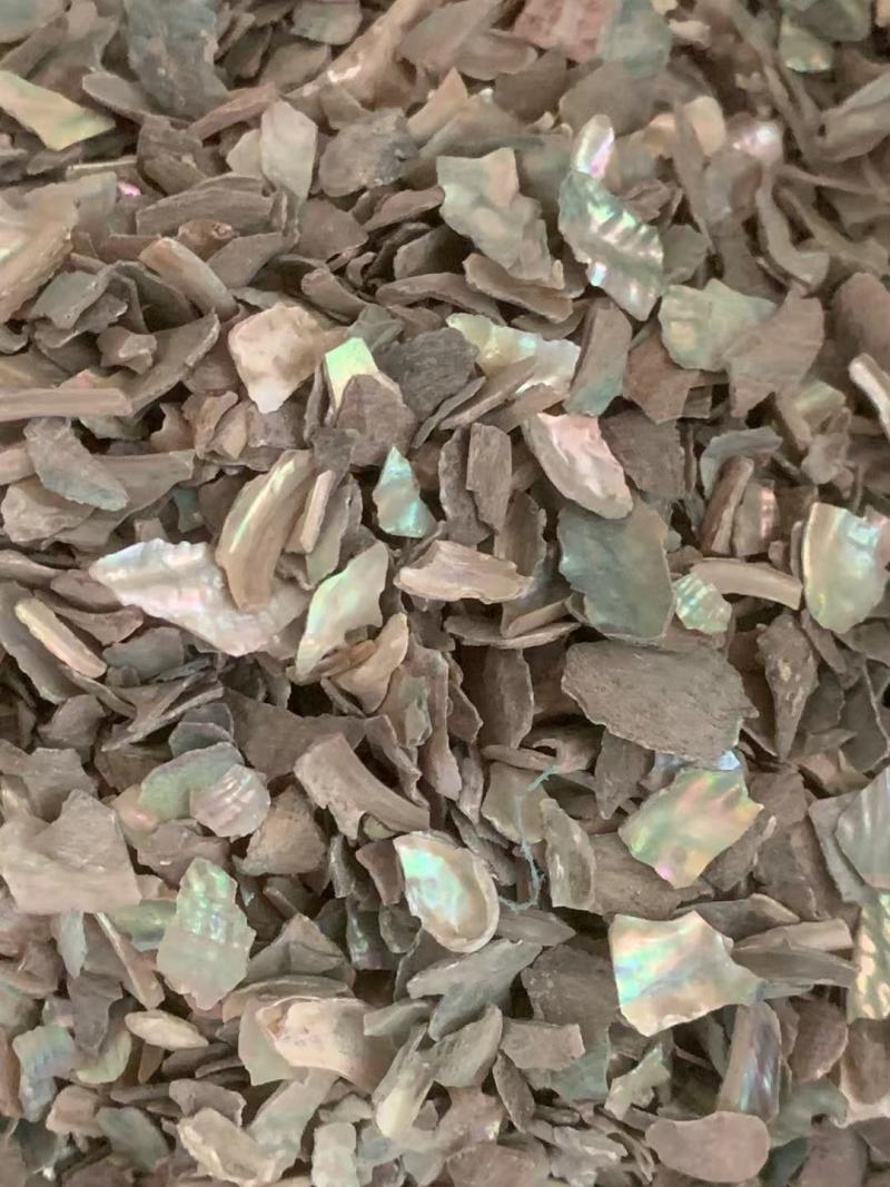 石决明粒【包邮】三斤起发货可批量可零售量大从优