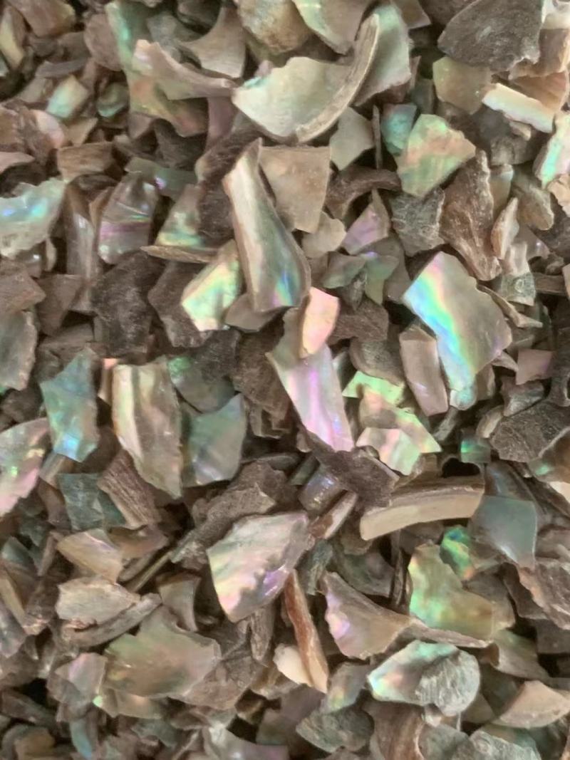 石决明粒【包邮】三斤起发货可批量可零售量大从优