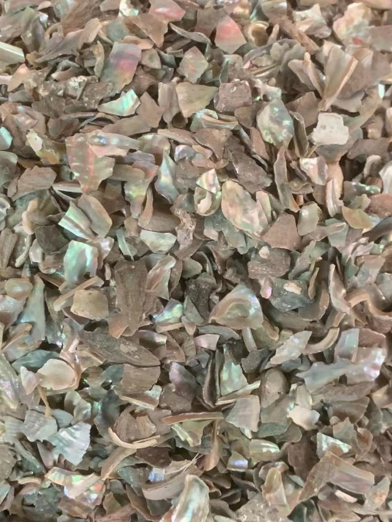 石决明粒【包邮】三斤起发货可批量可零售量大从优