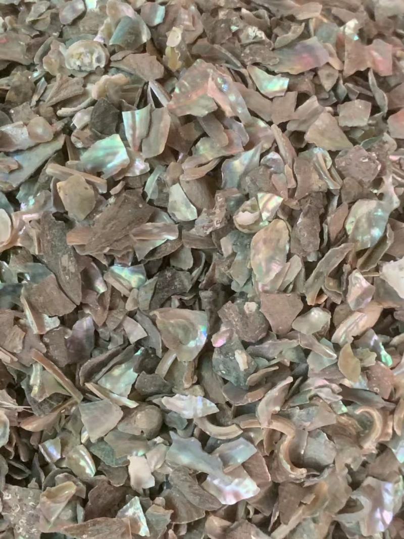石决明粒【包邮】三斤起发货可批量可零售量大从优