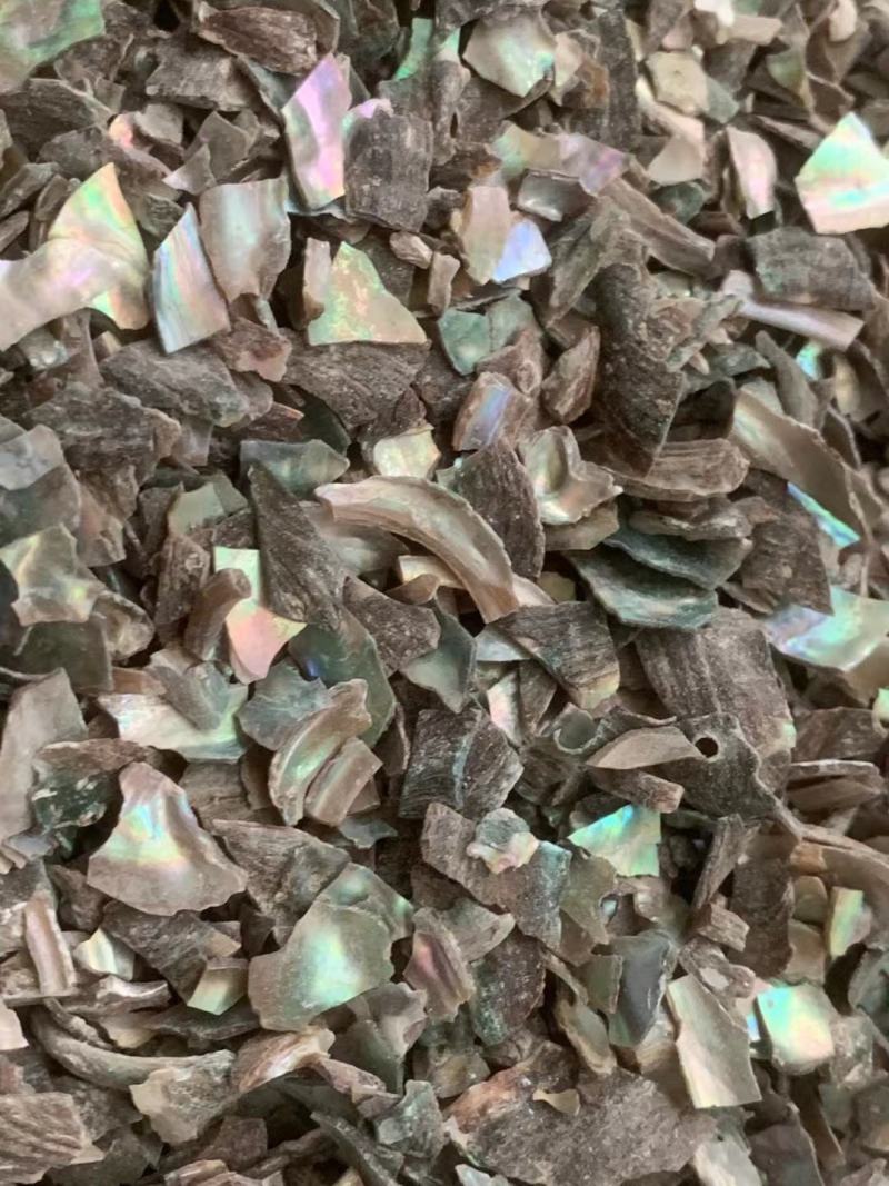 石决明粒【包邮】三斤起发货可批量可零售量大从优