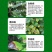 40%百菌清番茄早疫病花生叶斑病蔬菜大田杀菌剂悬浮剂农药