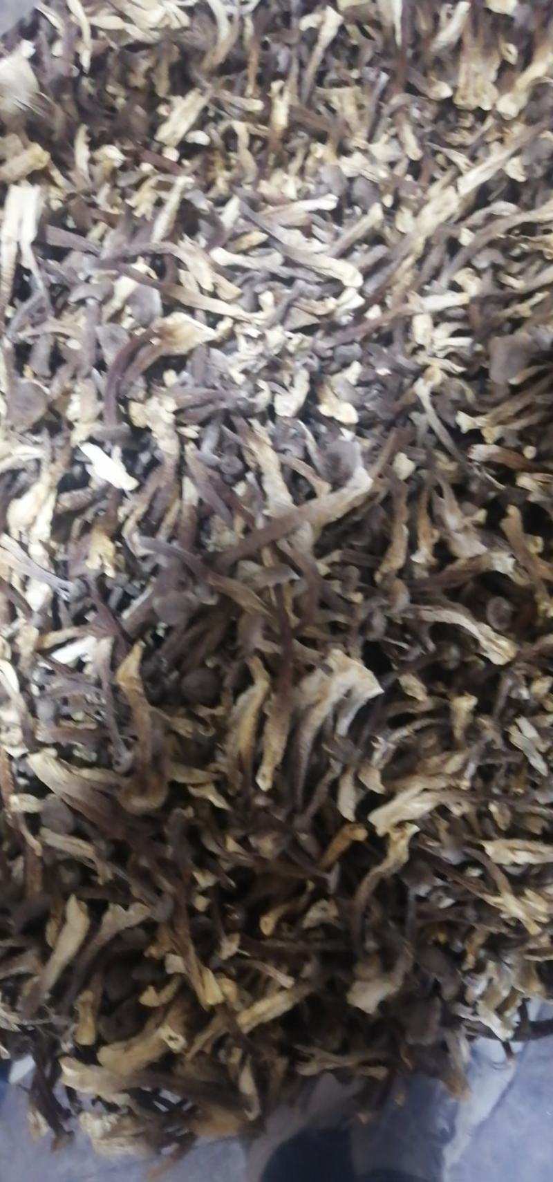 高，中，差鹿茸菇好吃不贵，老少皆宜可炒菜炖汤干锅。