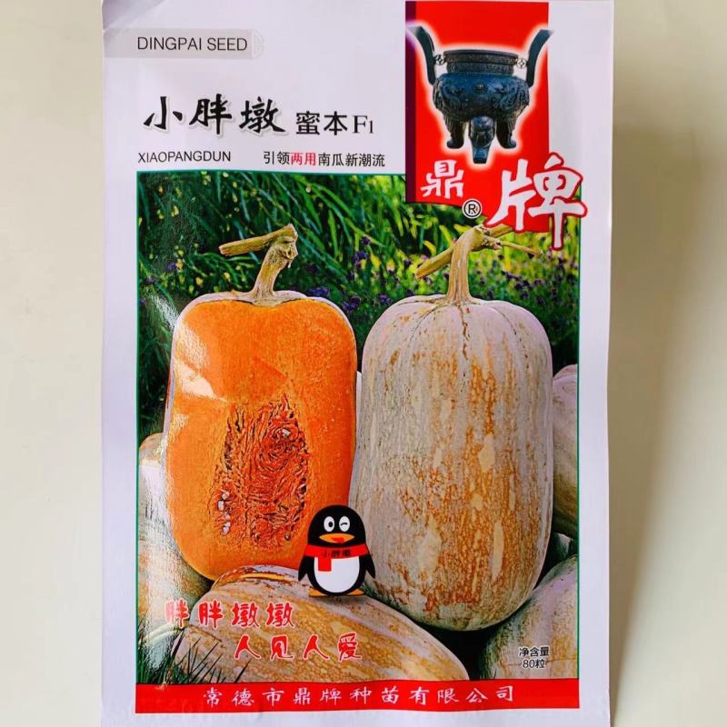 小胖墩蜜本南瓜种子两用型南瓜种子粉甜糯南瓜种籽早熟