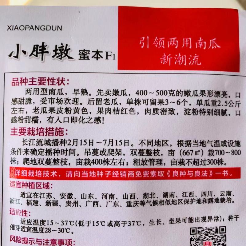 小胖墩蜜本南瓜种子两用型南瓜种子粉甜糯南瓜种籽早熟