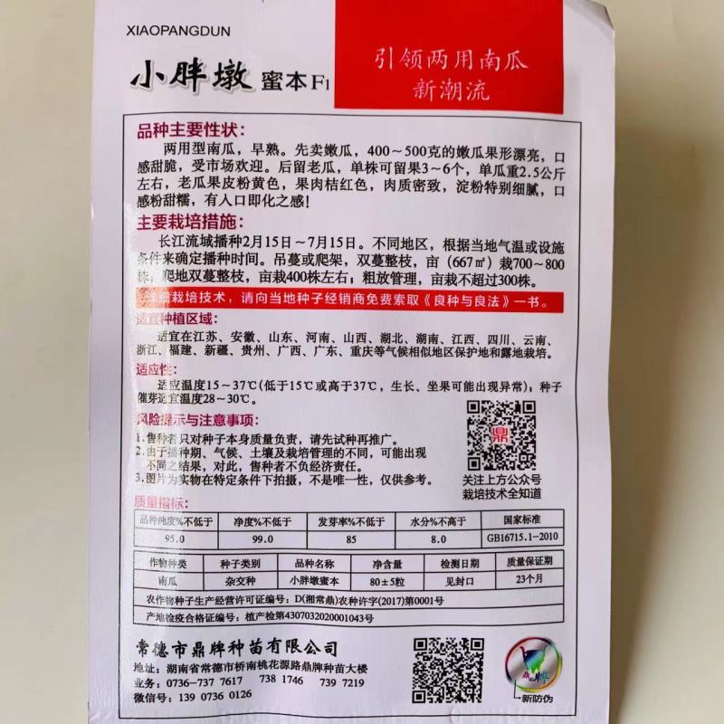 小胖墩蜜本南瓜种子两用型南瓜种子粉甜糯南瓜种籽早熟