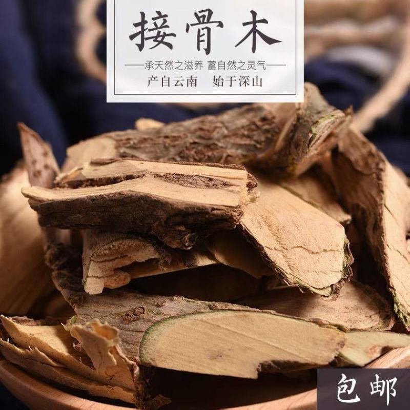 接骨木，道地药材，质优价实，品质保证，药典标准，一公斤起