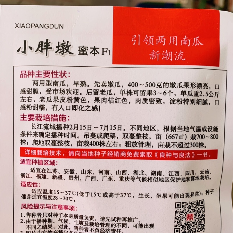 鼎牌小胖墩蜜本南瓜种子两用型杂交南瓜种子嫩瓜老瓜都好吃