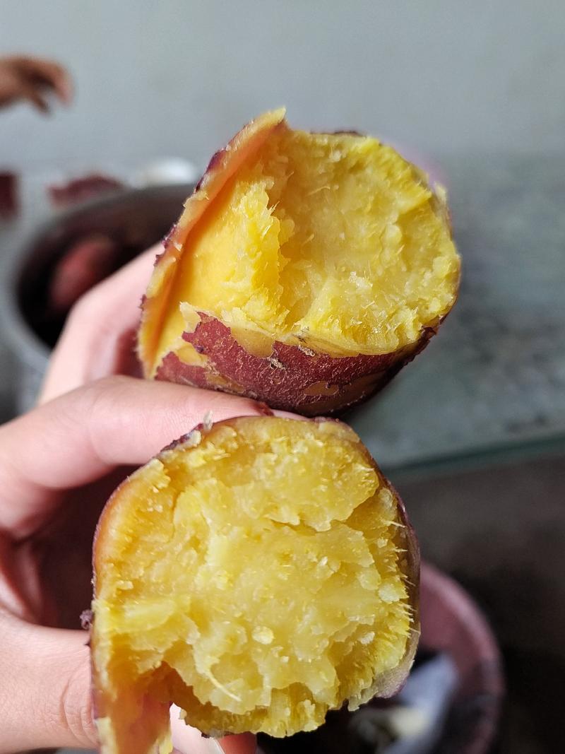 济薯26板栗薯红皮黄心电商市场批发产地一手货源