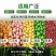 手提式播种机玉米花生大豆手动蔬菜播种器播种施肥一体机硬