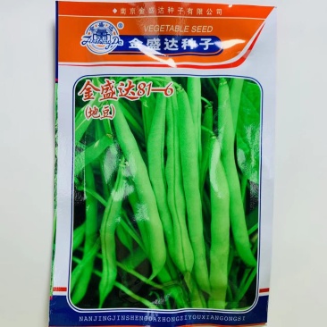 早熟地豆种子金盛达81-6红花白荚豆角种子春秋两用菜豆