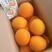 精品伦晚脐橙橙子柑橘产地直销保质保量欢迎订购