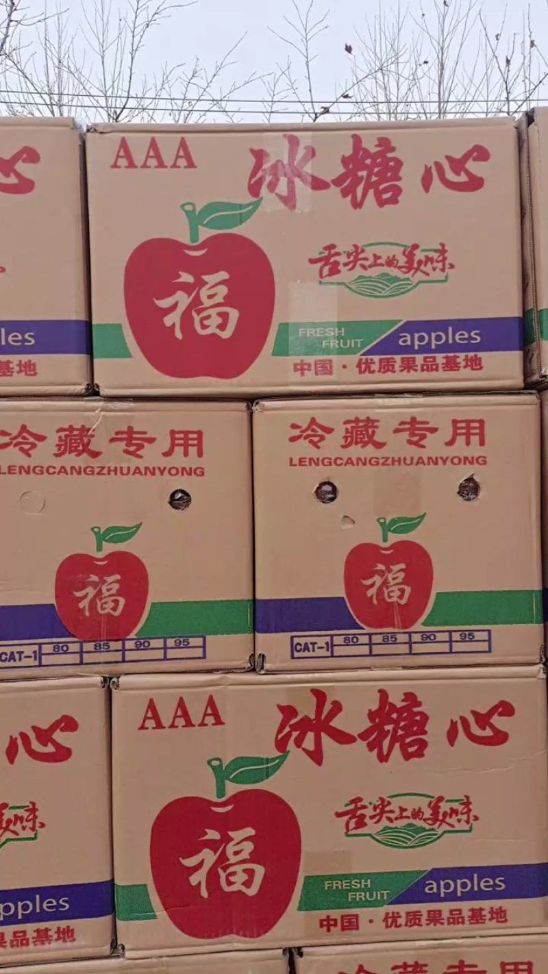 舌尖上的美味，精品纸袋冰糖心红富士苹果大量现货出库中