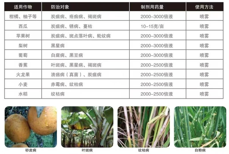 43%戊唑醇白粉病炭疽病锈病叶斑病果树蔬菜花卉农药杀菌剂