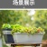 霍伦种菜盆蔬菜种植箱槽种菜长方形塑料花盆厂家特价批发零售